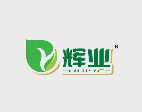 輝業(yè)打造全新響應式網(wǎng)站